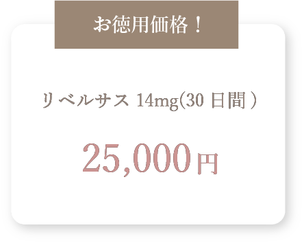 25000円の価格